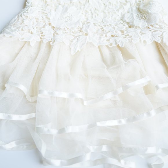 NWT 2 Piece Lace Top Over Tulle Underlay Dress - Picture 4 of 10